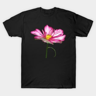 blooming pink flower, bloom, flowers, petals, blooms T-Shirt